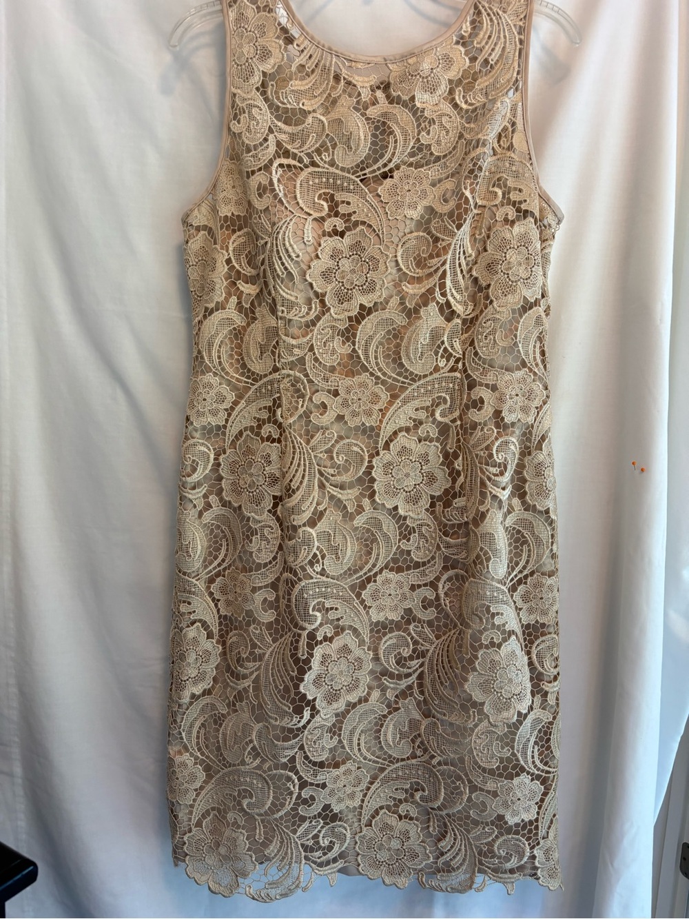 Adrianna Papell Taupe and Cream Lace Sheath Dress